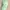 Topi Alo Yoga Green Mint photo 1