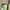 Topi Alo Yoga Green Mint photo 2