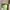 Topi Alo Yoga Green Mint