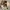 Garmin Venu Sq2 music green mint photo 1