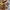 Garmin Venu Sq2 music green mint photo 8
