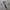 JERSEY BOLA TOTENHAM HOTSPUR HOME 2015/16 SON ORIGINAL 100% photo 1