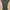 Colorbox Jumpsuit