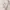 Hoodie Stussy Basic white photo 7