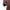 Polo Ralph Lauren Luxury Pria multicolor photo 3