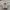 BEN DAVIS SWEATSHIRT LONG SLEEVE GREY  photo 4