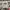 BEN DAVIS SWEATSHIRT LONG SLEEVE GREY  photo 1