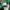 Vintage green bay packers cap photo 5