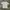 CROP SLIMFIT SIHIRT photo 5