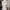 Longdress cheongsam satin silk photo 2