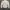 Vivienne Westwood Luxury Casual Blouse Wanita white photo 5