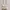 Tas Slempang / Sling Bag Wanita Broken White photo 3