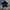 Adidas Sportswear Jersey Wanita Blue