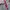 BIG POCKET photo 5