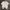 Nike Sportswear Jersey Pria white photo 2