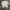 The North Face Sportswear Jersey Pria White
