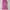 Singlet Yoga Sport Women