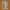 Outer Premium photo 1
