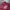 Gildan Vintage Streetwear Hoody Pria burgundy photo 3
