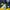 Genoa 2024-2025 Fourth Special Boca Juniors Original Jersey photo 3