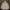 Uniqlo Vintage Y2K Hoody Pria Gray