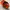 thisisneverthat Vintage Y2K Hat Pria orange black photo 5