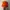 thisisneverthat Vintage Y2K Hat Pria orange black photo 1