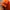 thisisneverthat Vintage Y2K Hat Pria orange black photo 4