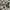 Comodo imagine uomo vintage pattern shirt photo 4