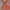 hnm mini dress photo 1