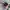 VANS EPOCH LOW SPORT photo 1