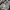 Dickies Casual Hoody Pria white gray photo 5
