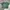 Croptop Green  photo 2
