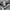 Adidas x stella mccartney celana pendek photo 4