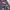Rok Levis motif  bunga  photo 4