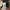 Rice Cooker Philips HD4519 photo 4