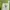 Rice Cooker Philips HD4519 photo 3