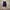 Birkenstock photo 5