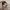 Birkenstock photo 4
