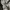 Sweather Hoodie zipper cemo Sherpa Un1gl0 photo 2