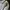 Sweather Hoodie zipper cemo Sherpa Un1gl0 photo 7