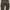 Dickies double knee photo 2