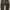 Dickies double knee photo 3