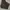 Dickies double knee photo 1