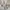 grunge double-layered long sleeve  photo 5