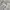grunge double-layered long sleeve  photo 3