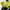 New Balance 530 WRPD Green photo 7