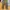 Carhartt WIP Simple Pant Corduroy Tamarind photo 2