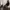 BAILO GORPCORE JACKET GORE-TEX GUARANTEED  photo 2