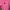 Polo Pink Shirt photo 1